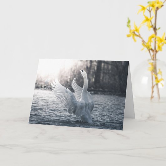 Weißschwan-Naturfotografie Karte (Gelbe Blume)