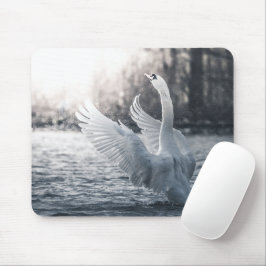 Weißschwan-Naturfotografie Mousepad