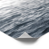 Weißschwan-Naturfotografie Poster (Ecke)