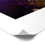 Weißschwan Poster (Ecke)