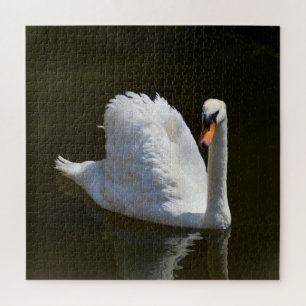 Weißschwan Puzzle