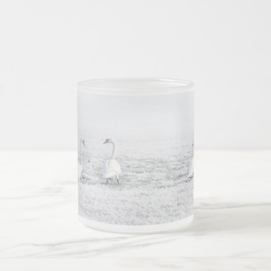 Weißschwäne im Winterschnee Mattglastasse (Mittel)