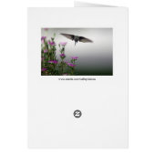 Weißschwanz-Hirsche, die dich ansieht (Nah oben) (Hinten)