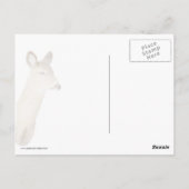 Weißschwanz-Hirsche, die dich ansieht (Nah oben) Postkarte (Rückseite)