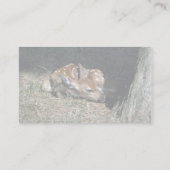 Weißschwanz-Hirsche, von Baum Visitenkarte (Rückseite)