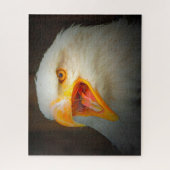 Weißschwanzadler Puzzle (Vertikal)