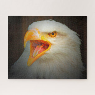 Weißschwanzadler Puzzle