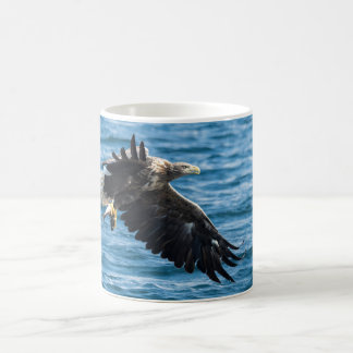 Weißschwanzadler Tasse