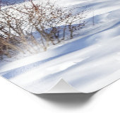 Weißschwänzchen Fotodruck (Ecke)