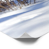 Weißschwänzchen Poster (Ecke)