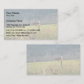 Weißschwänzer Visitenkarte (Vorne/Hinten)