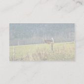 Weißschwänzer Visitenkarte (Rückseite)