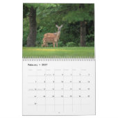 Weißschwanzhirsche 2026 kalender (Feb 2027)