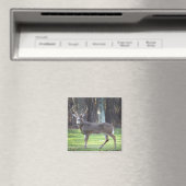 Weißschwanzhirsche 2" Magnet (In Situ (Geschirrspüler))