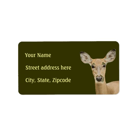 Weißschwanzhirsche Adressaufkleber (Vorne)