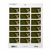 Weißschwanzhirsche Adressaufkleber (Vorne)