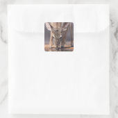 Weißschwanzhirsche am Waterhole Quadratischer Aufkleber (Tasche)