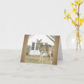 Weißschwanzhirsche - Blankokarte Karte (Gelbe Blume)