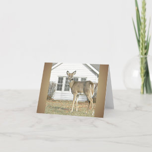 Weißschwanzhirsche - Blankokarte Karte