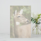 Weißschwanzhirsche Briefpapier (Stehend Vorderseite)