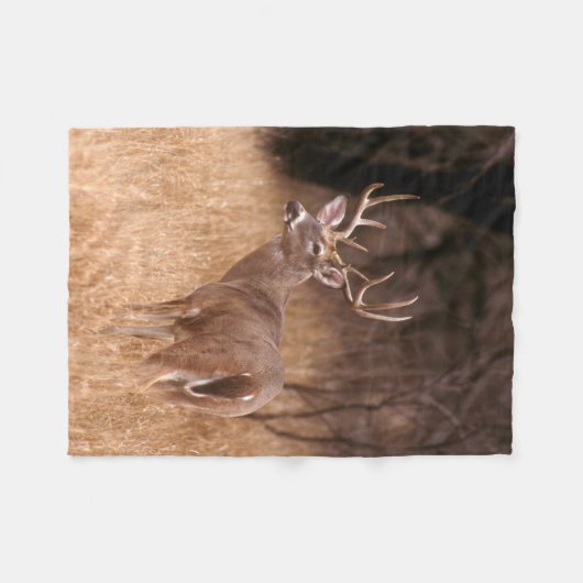 Weißschwanzhirsche | Choke Canyon Staat Park, TX Fleecedecke (Vorderseite (Horizontal))