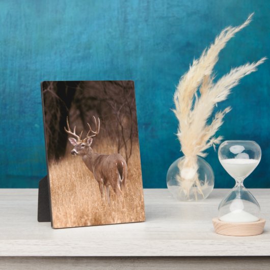 Weißschwanzhirsche | Choke Canyon Staat Park, TX Fotoplatte (Seite)