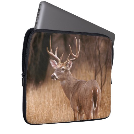 Weißschwanzhirsche | Choke Canyon Staat Park, TX Laptopschutzhülle (Vorne Rechts)