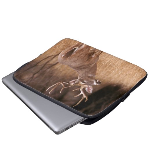 Weißschwanzhirsche | Choke Canyon Staat Park, TX Laptopschutzhülle (Vorne Knopf)