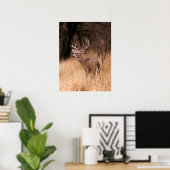 Weißschwanzhirsche | Choke Canyon Staat Park, TX Poster (Heimbüro)