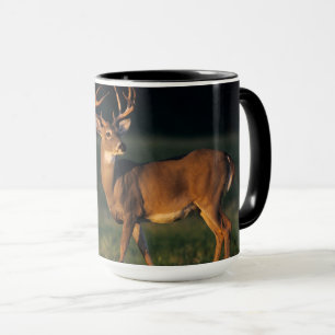 Weißschwanzhirsche Choke Canyon Staat Park, TX Tasse