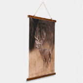 Weißschwanzhirsche | Choke Canyon Staat Park, TX Wandteppich Mit Holzrahmen (Gewinkelt)