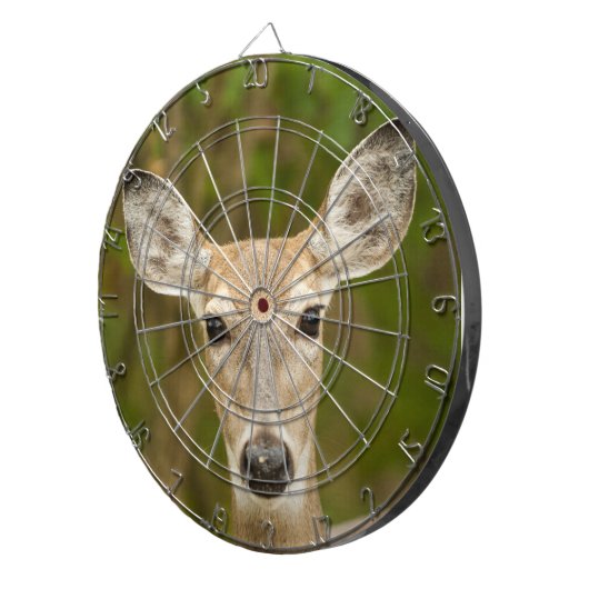 Weißschwanzhirsche Dartscheibe (Vorderseite rechts)