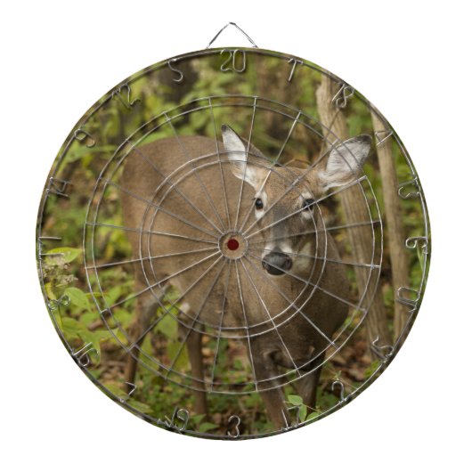 Weißschwanzhirsche Dartscheibe (vorne)