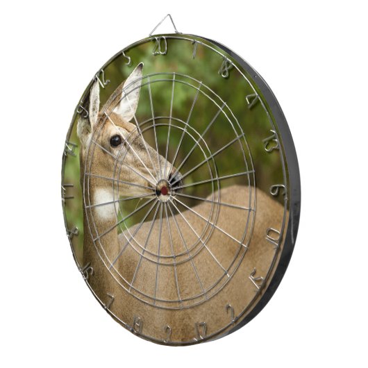 Weißschwanzhirsche Dartscheibe (Vorderseite rechts)