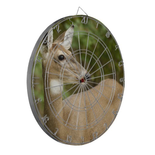 Weißschwanzhirsche Dartscheibe (Vorderseite Links)