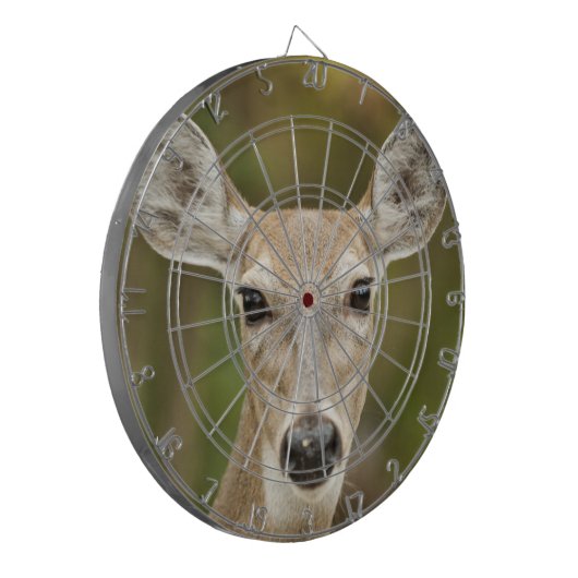 Weißschwanzhirsche Dartscheibe (Vorderseite Links)