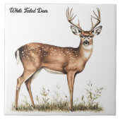 Weißschwanzhirsche Fliese (Vorderseite)