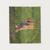 Weißschwanzhirsche | Grassy Habitat Wandteppich (Vorderseite)