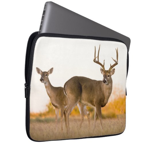Weißschwanzhirsche | Herbst in Texas Laptopschutzhülle (Vorne Rechts)