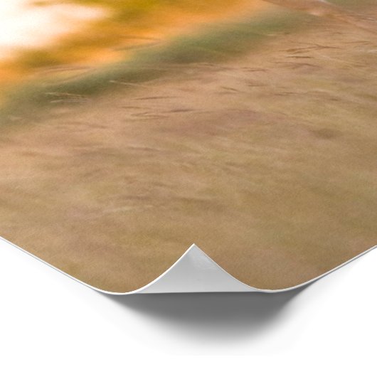 Weißschwanzhirsche | Herbst in Texas Poster (Ecke)