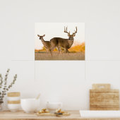 Weißschwanzhirsche | Herbst in Texas Poster (Küche)