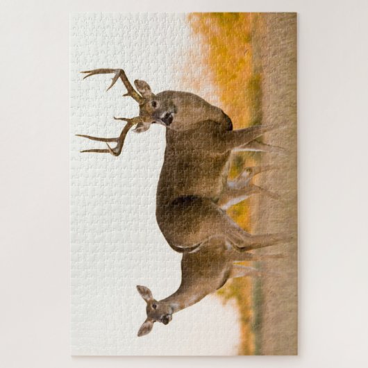 Weißschwanzhirsche | Herbst in Texas Puzzle (Vertikal)