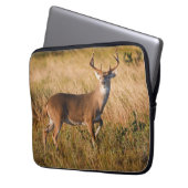 Weißschwanzhirsche | Herbst in TX Laptopschutzhülle (Vorderseite Links)