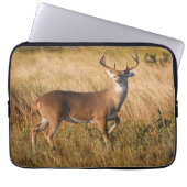 Weißschwanzhirsche | Herbst in TX Laptopschutzhülle (Vorderseite)