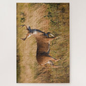 Weißschwanzhirsche | Herbst in TX Puzzle (Vertikal)