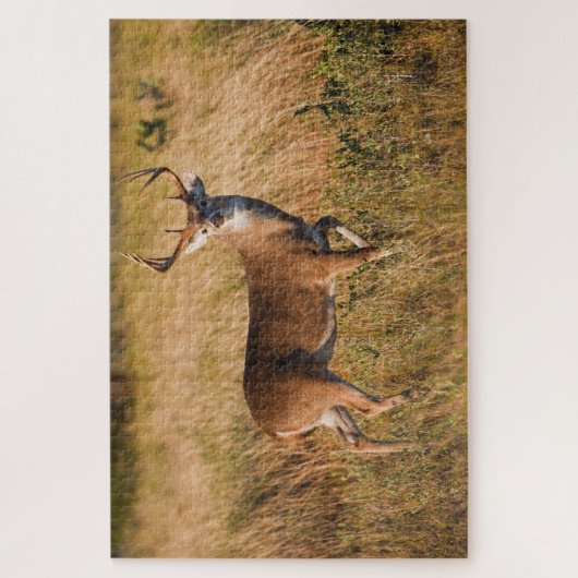 Weißschwanzhirsche | Herbst in TX Puzzle (Vertikal)