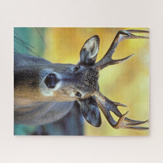 Weißschwanzhirsche | Herbst Puzzle (Horizontal)