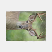 Weißschwanzhirsche | Hill Country, Texas Fleecedecke (Vorderseite (Horizontal))