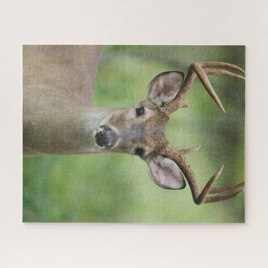 Weißschwanzhirsche | Hill Country, Texas Puzzle (Horizontal)