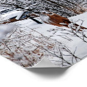 Weißschwanzhirsche im Winterschneewertposter Poster (Ecke)